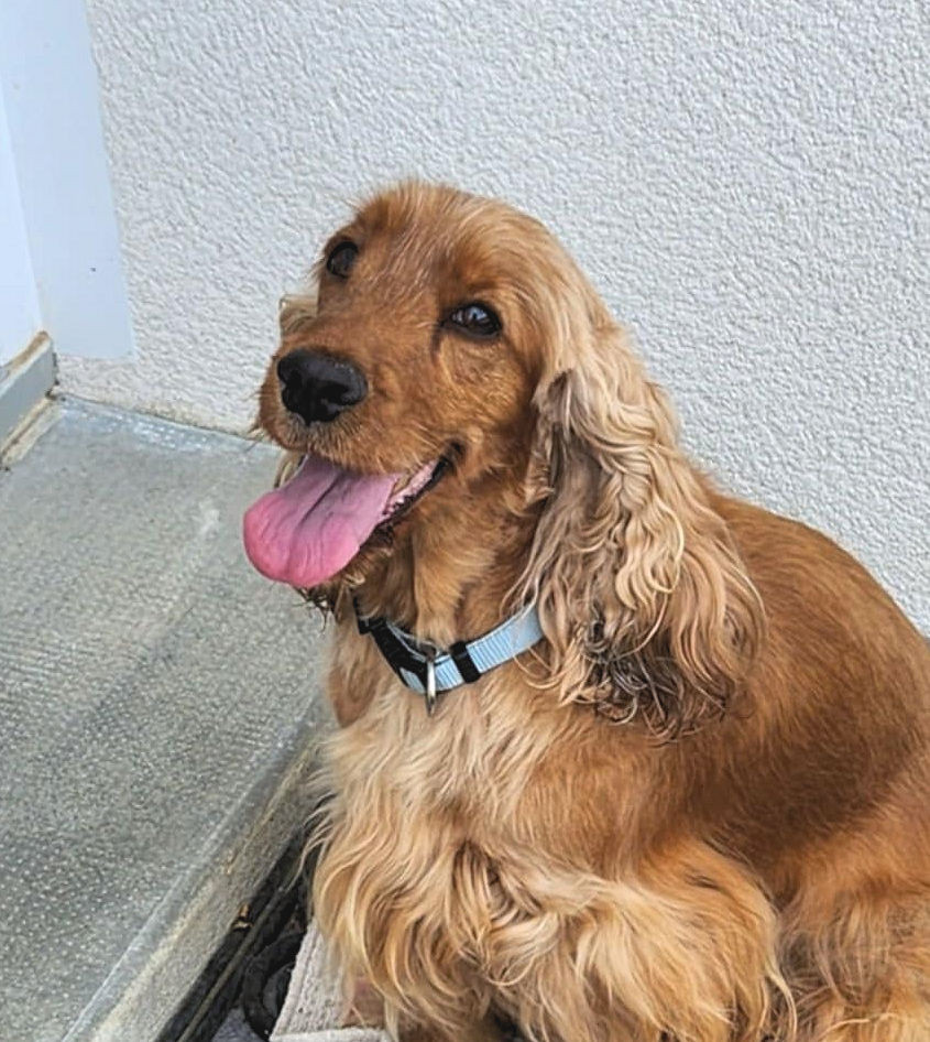 TR. Sélina de Lann-er-Marh