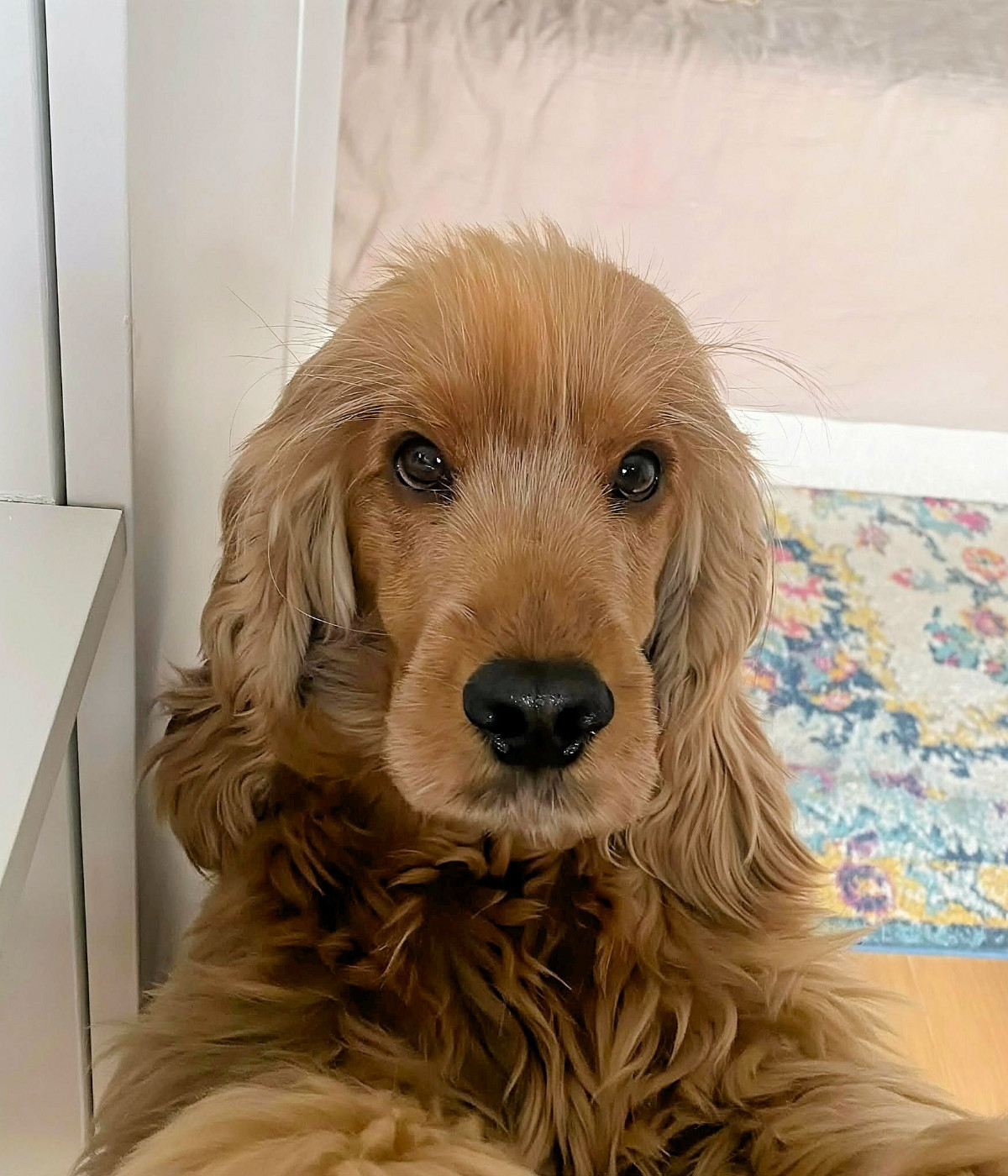 Ublime de Lann-er-Marh