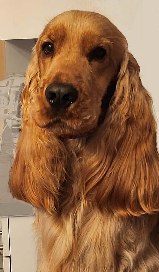 UCKY de Lann-er-Marh