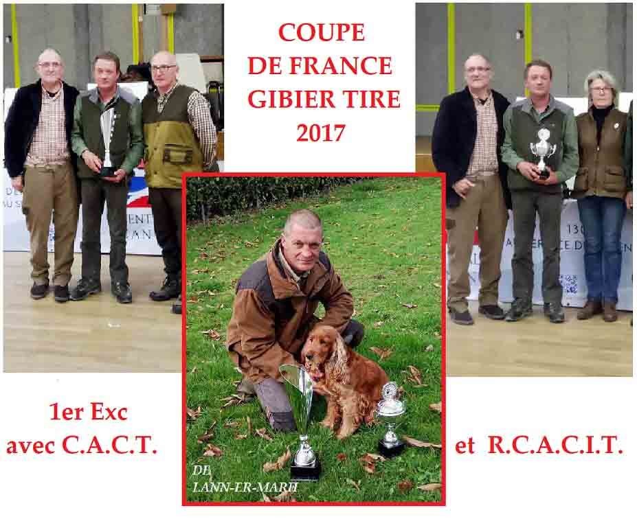 de Lann-er-Marh - Field Trial : la Coupe de FRANCE