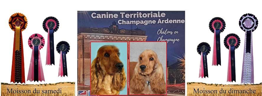 Expositions canines  de CHÂLONS EN CHAMPAGNE les 4 & 5 juin 2022